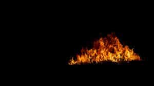 image of fire on a black background